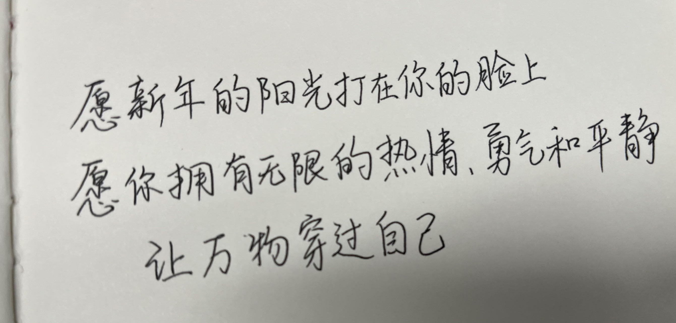 2023 年终总结及个人复盘